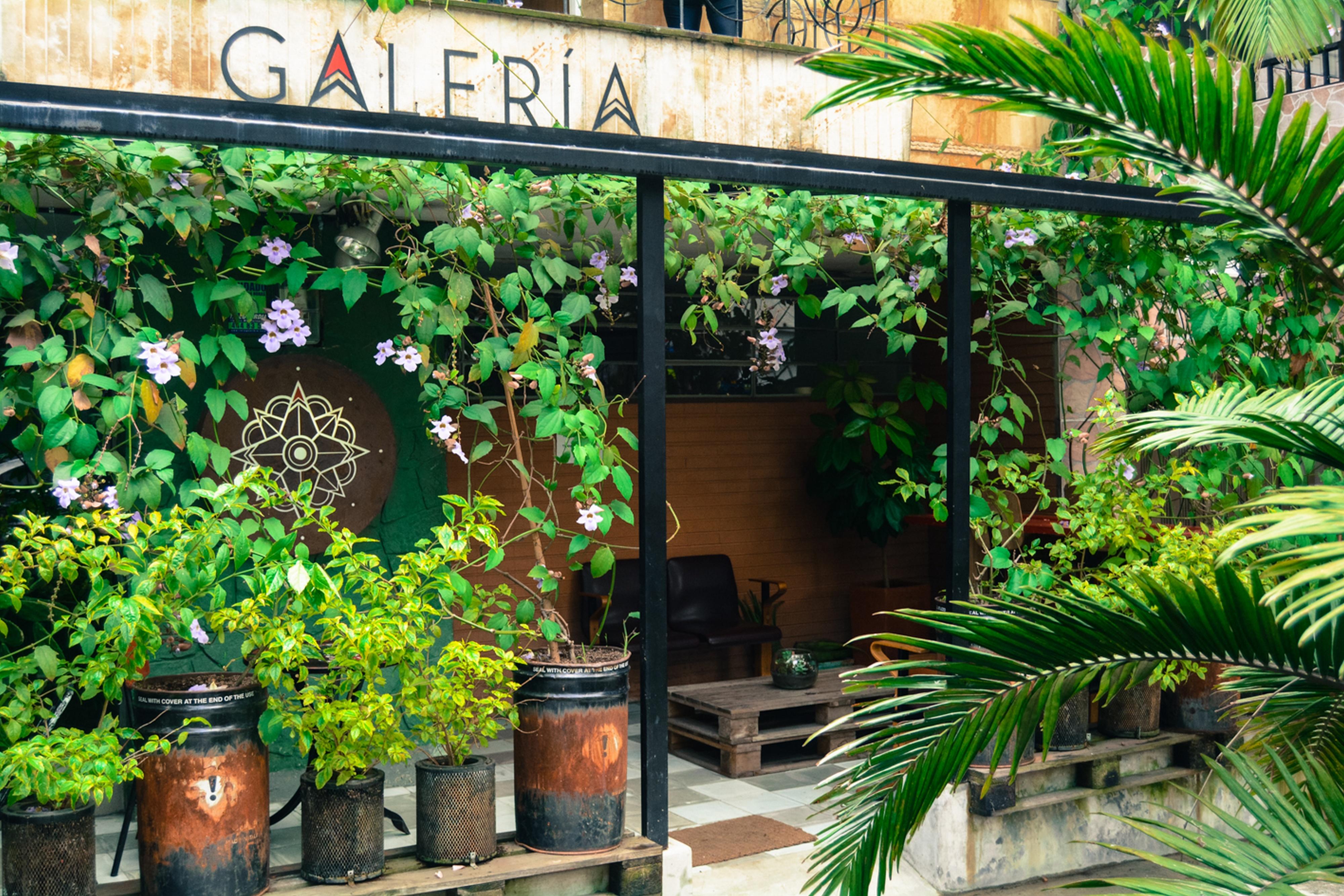 Hostal Casa Estacion Medellín Exterior foto