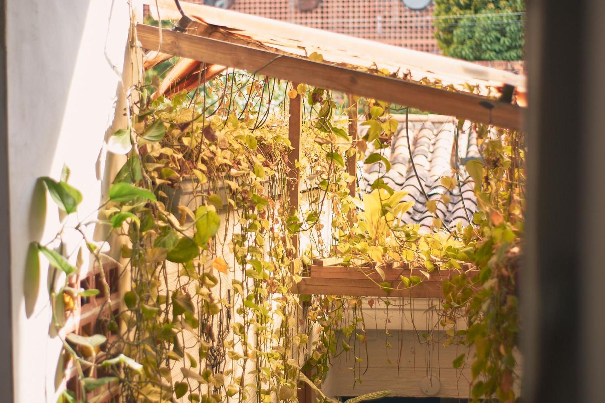Hostal Casa Estacion Medellín Exterior foto